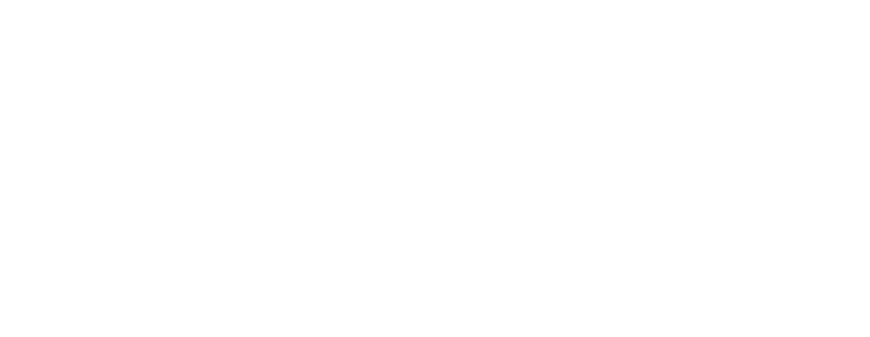 VIANSA