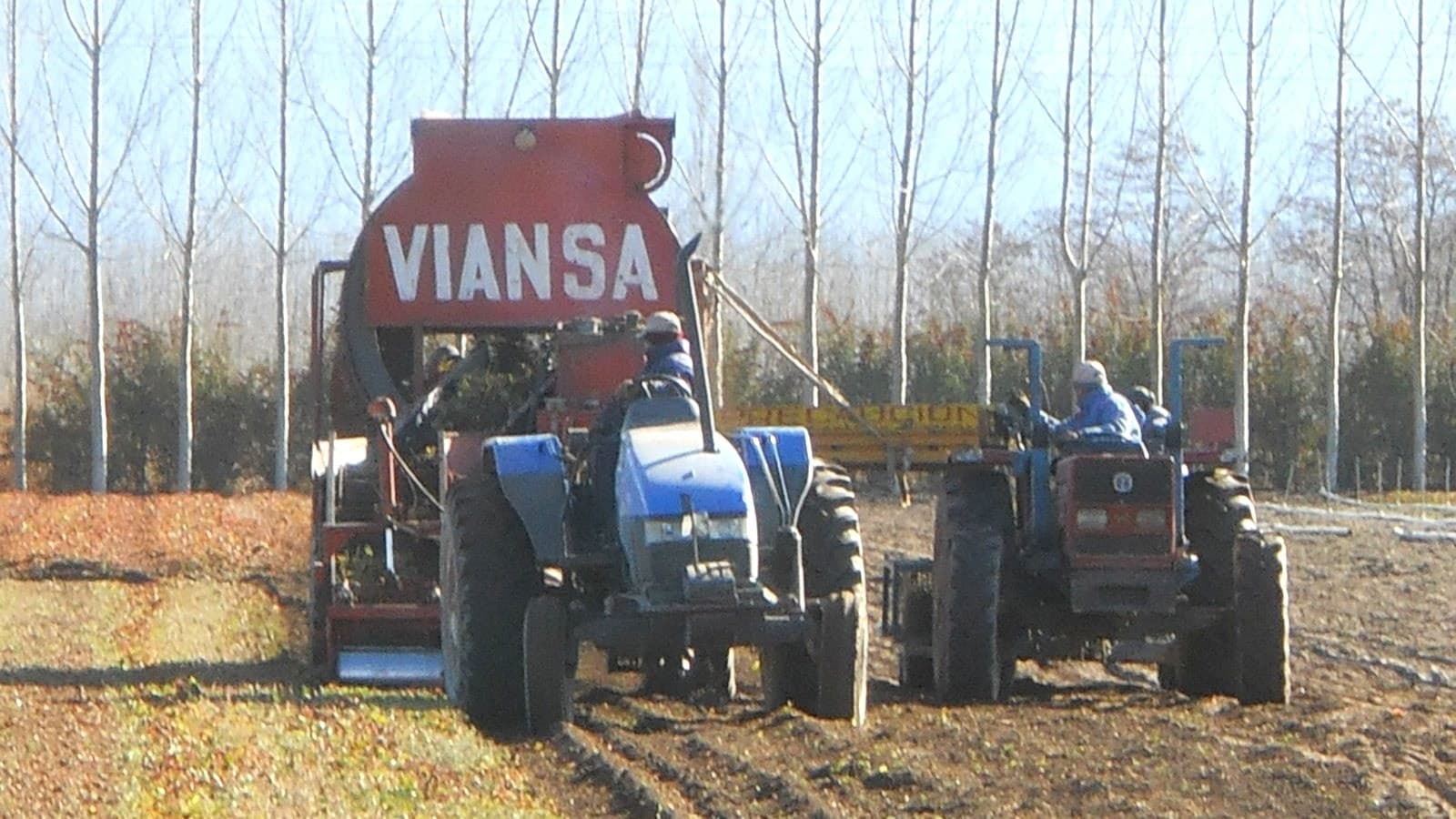 Campos de VIANSA en Mendoza.