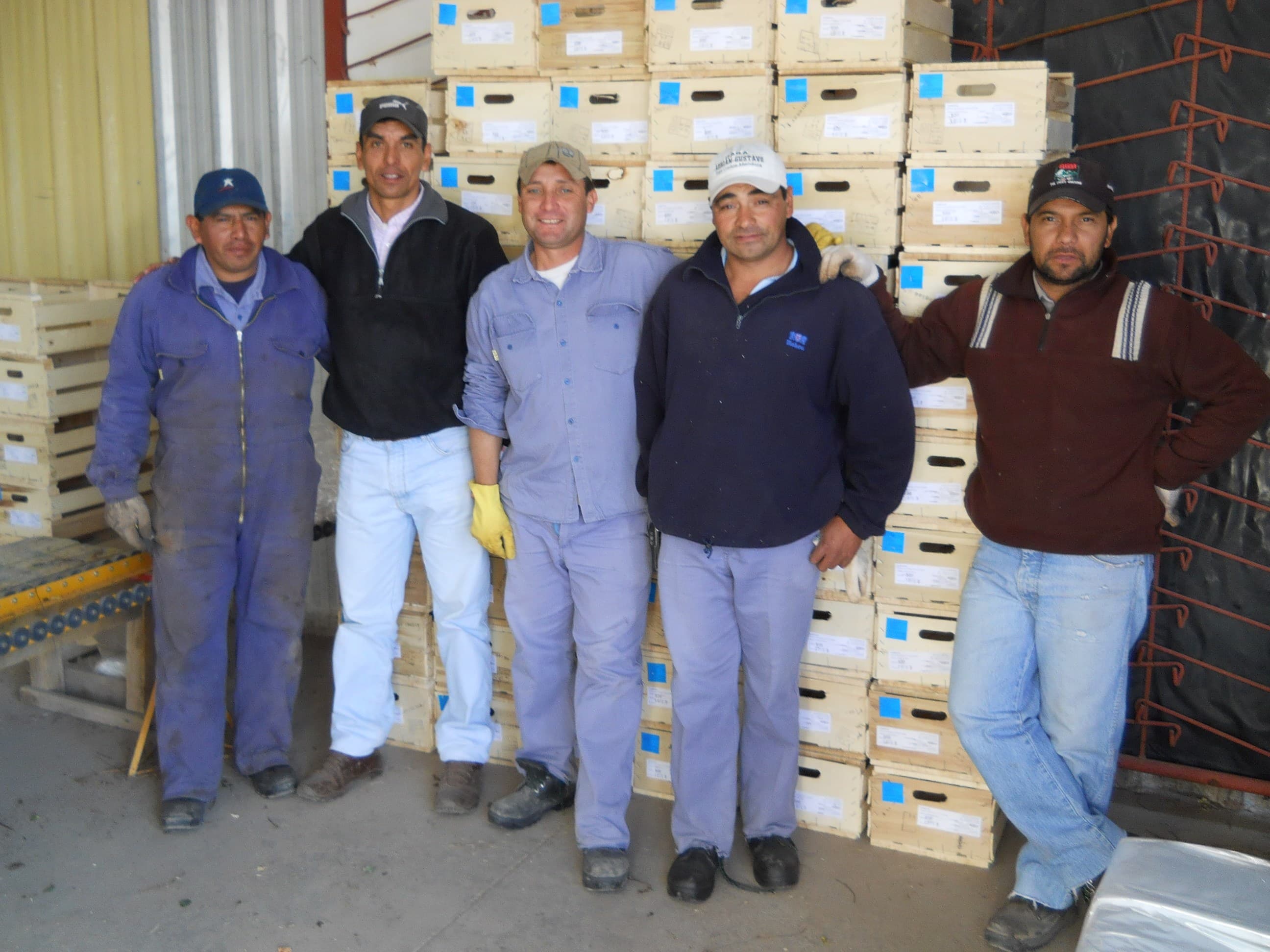Sistema de riego en cultivo de VIANSA.