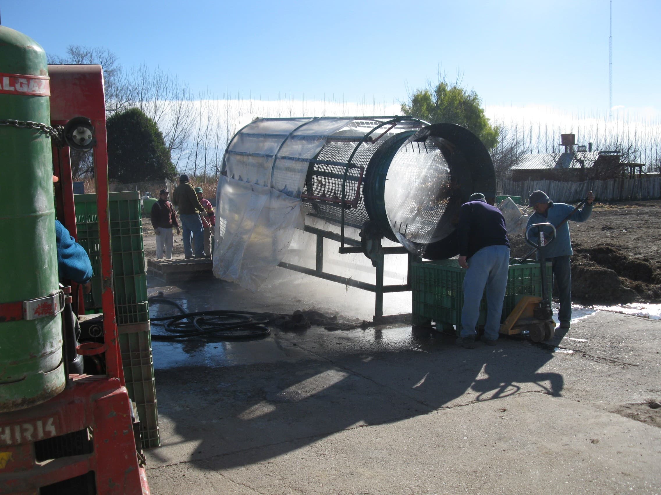 Trabajo de cosecha en VIANSA.