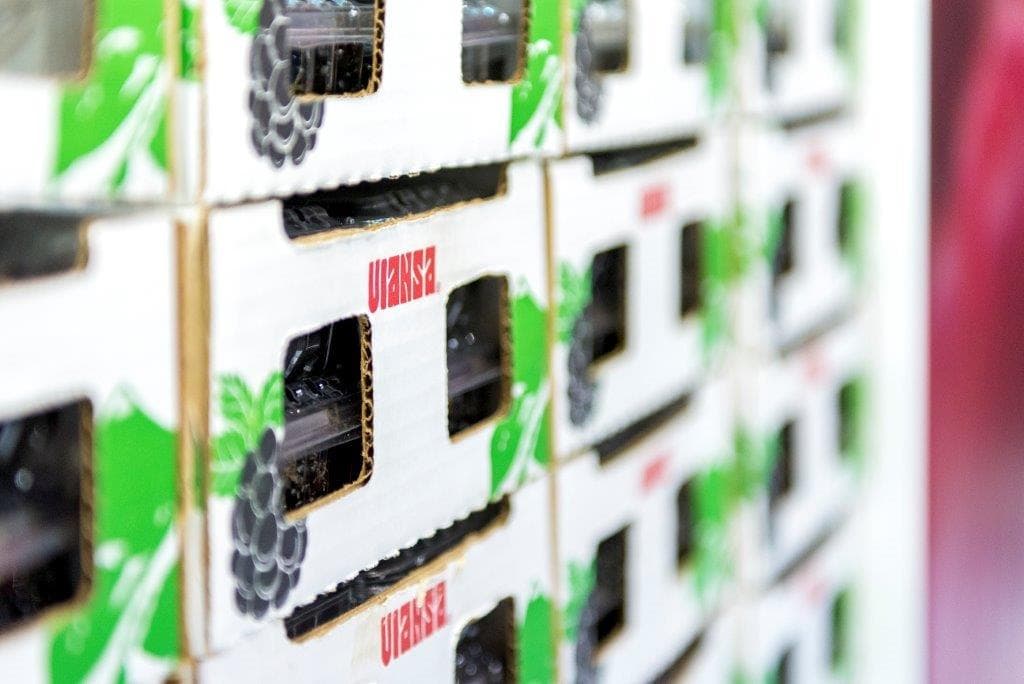 Moras VIANSA.