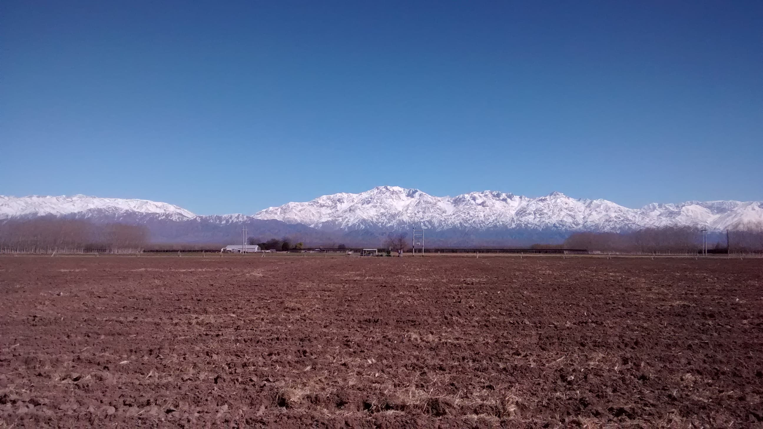 Campos de VIANSA en Mendoza con la Cordillera de los Andes de fondo.