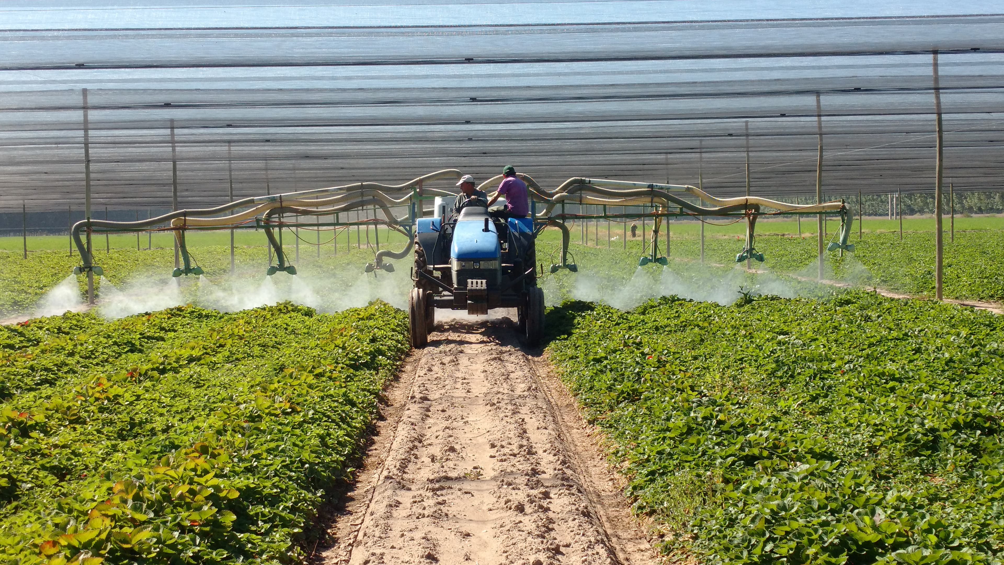 Riego y producción agrícola de VIANSA.