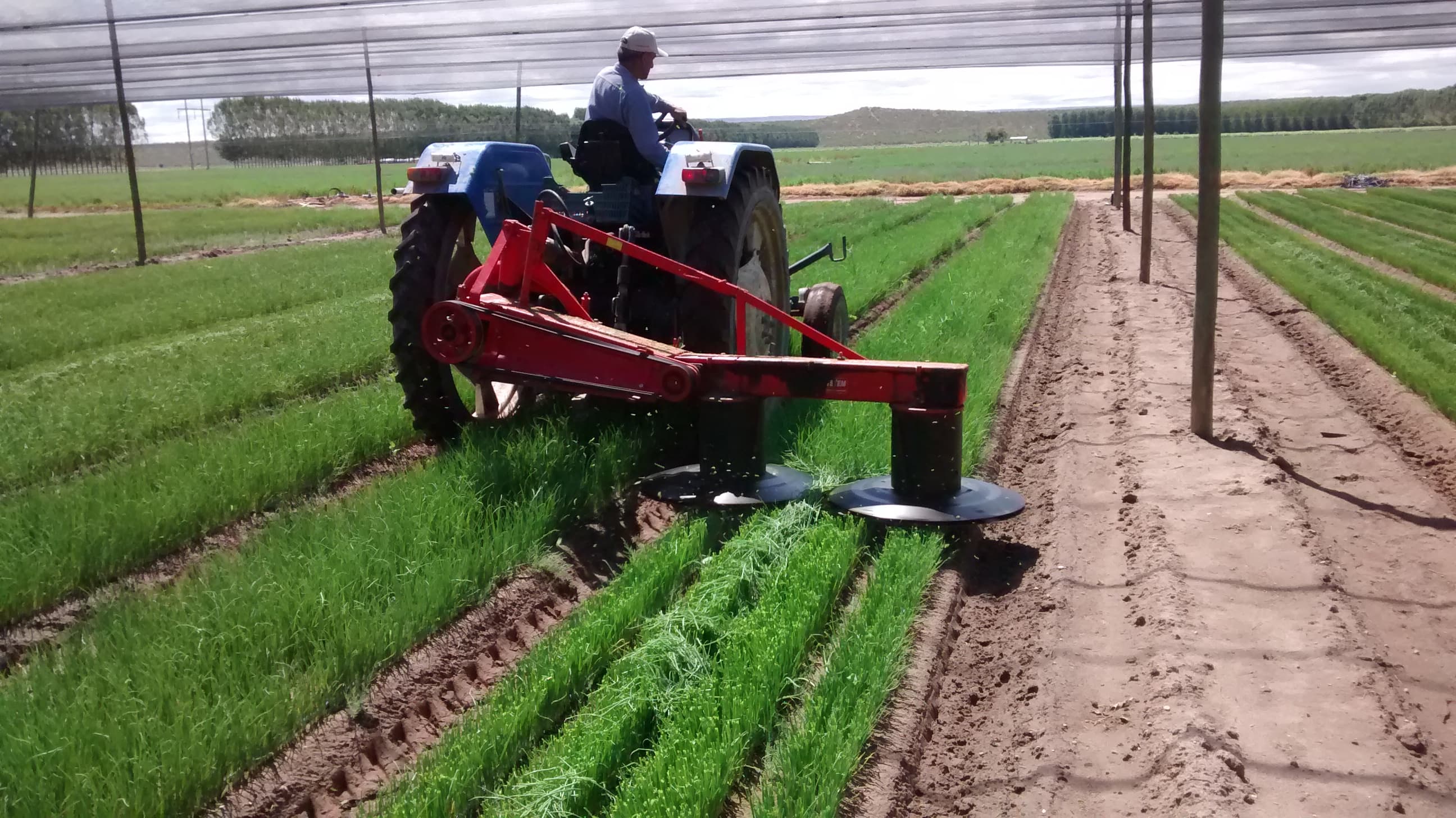 Tractor de VIANSA en labores agrícolas.