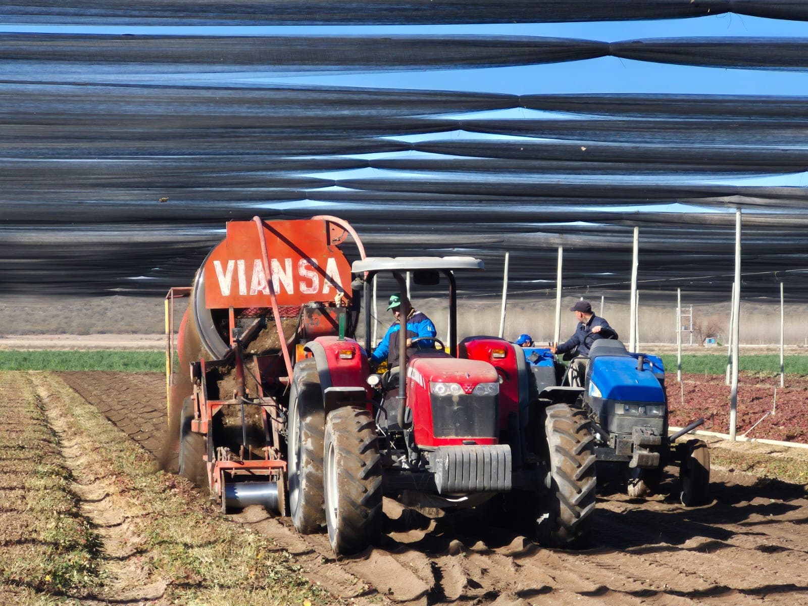 Sanidad de plantas VIANSA.
