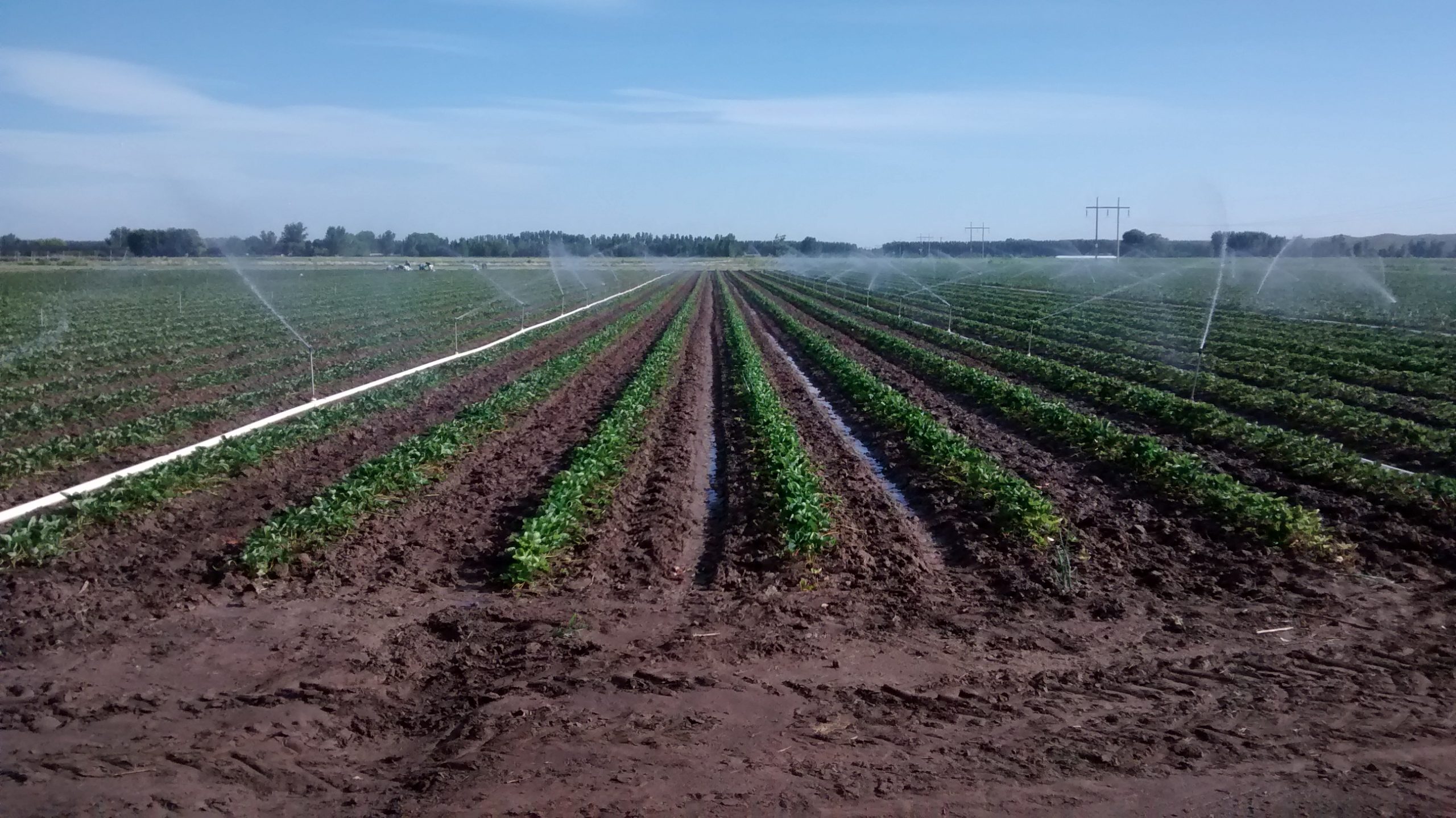 El vivero en diciembre